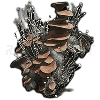 Mushroom Body-image